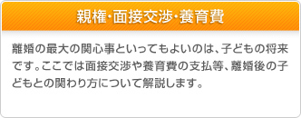 親権・面接交渉・教育費